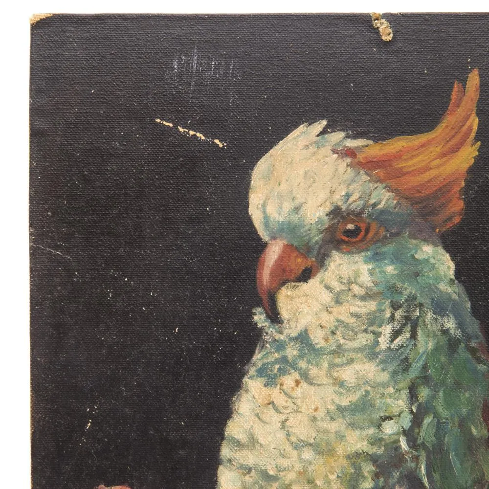 00.28 (A D) Multi Oil Painting of Bird
