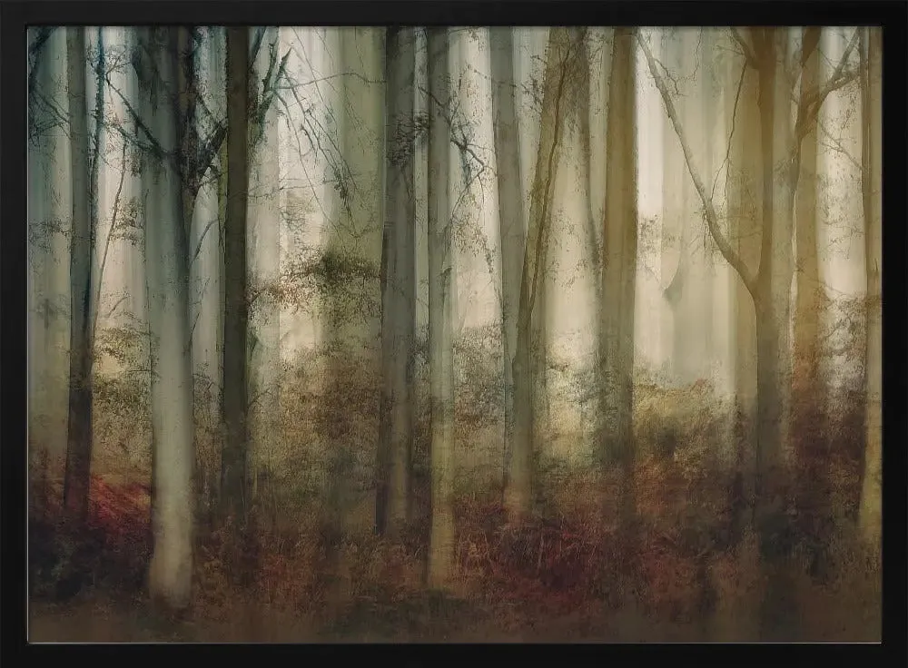Autumn Light by Nel Talen - Stretched Canvas, Poster or Fine Art Print