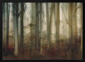 Autumn Light by Nel Talen - Stretched Canvas, Poster or Fine Art Print