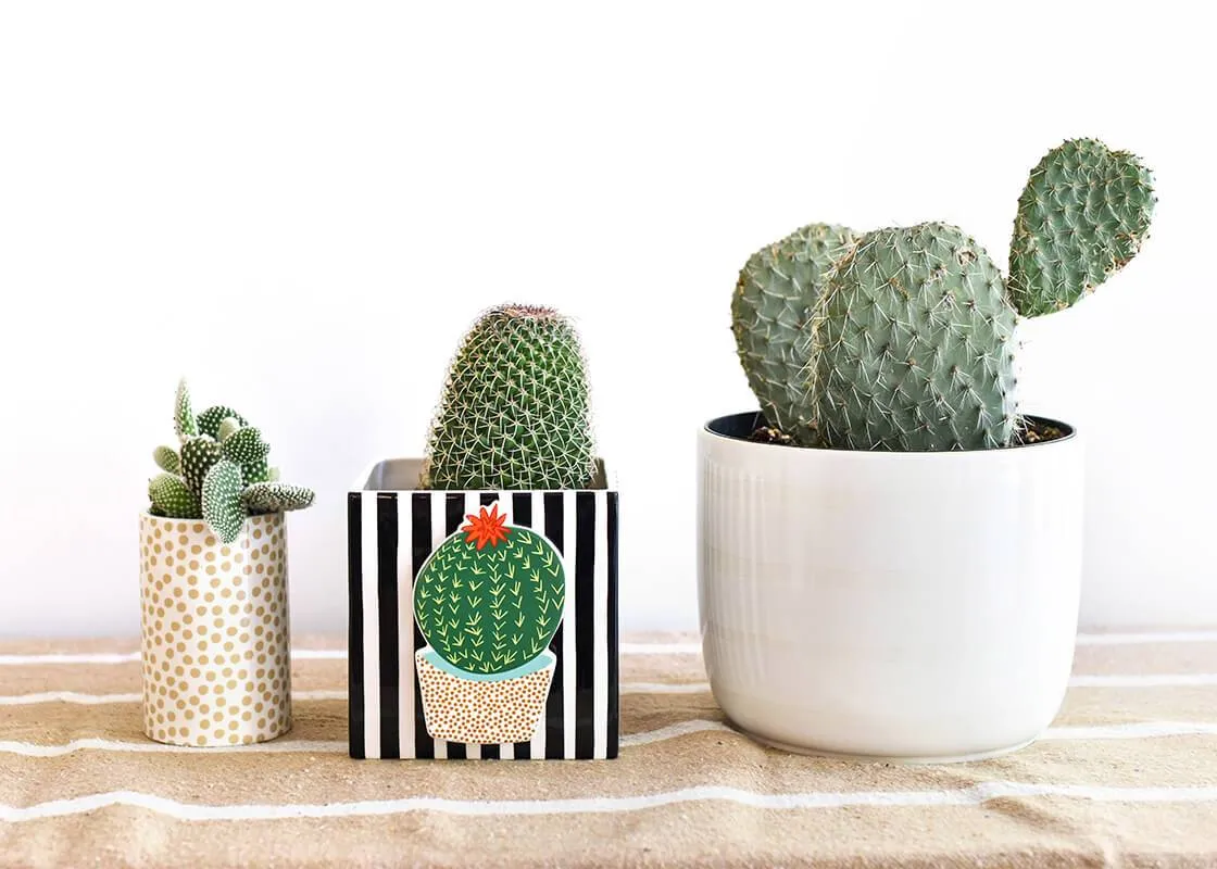 Black Stripe Medium Mini Nesting Cube