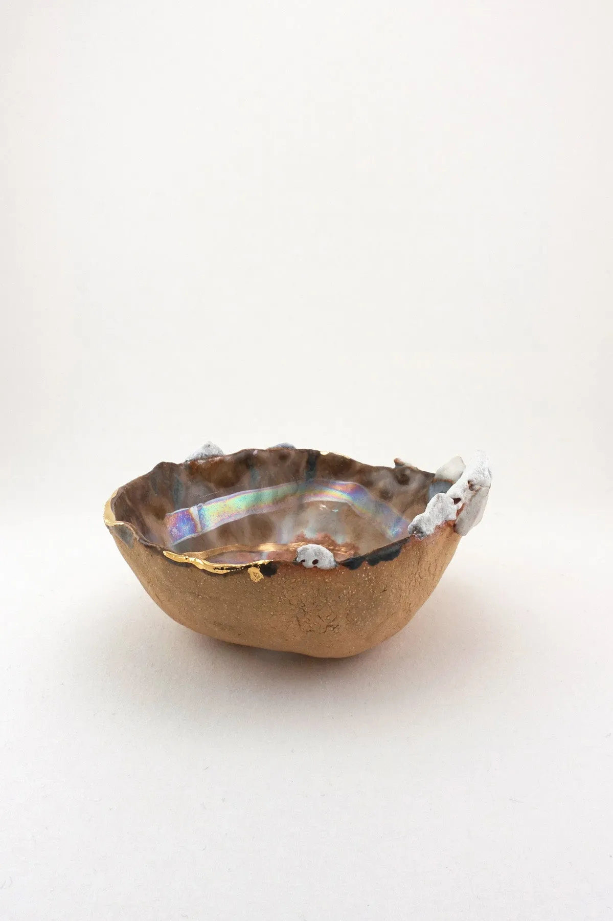 Iceland Shell with Gold Ripple - Mini