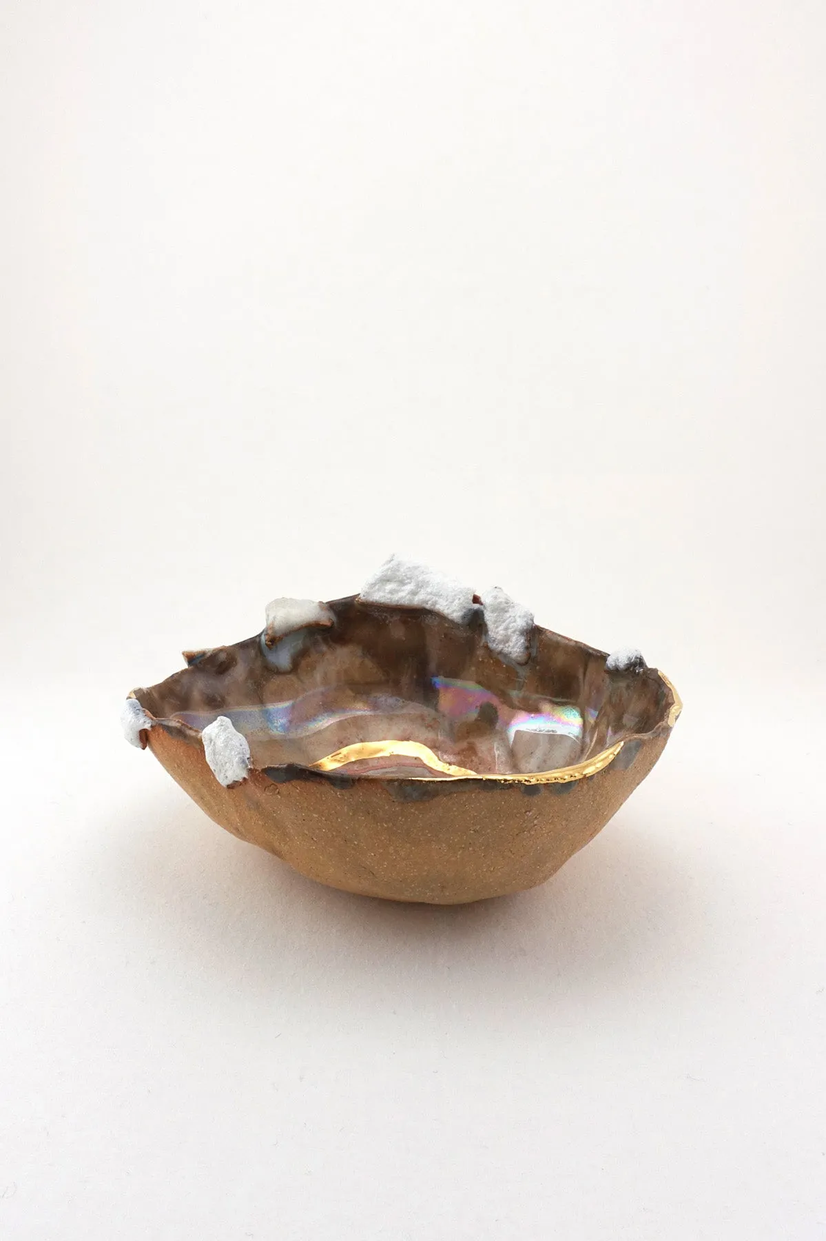 Iceland Shell with Gold Ripple - Mini