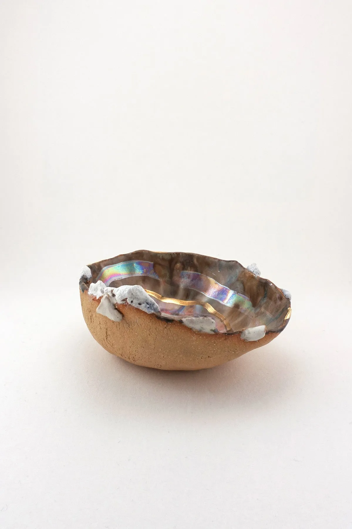 Iceland Shell with Gold Ripple - Mini