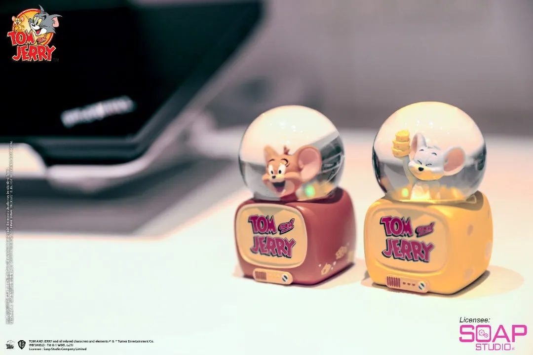 Soap Studio CA802 Warner Brothers Animation: Mini Snow Globe Series (12 Characters)