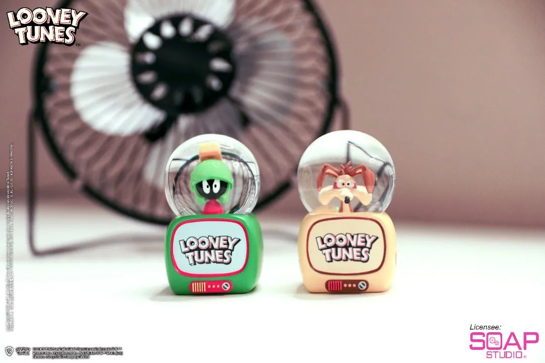 Soap Studio CA802 Warner Brothers Animation: Mini Snow Globe Series (12 Characters)
